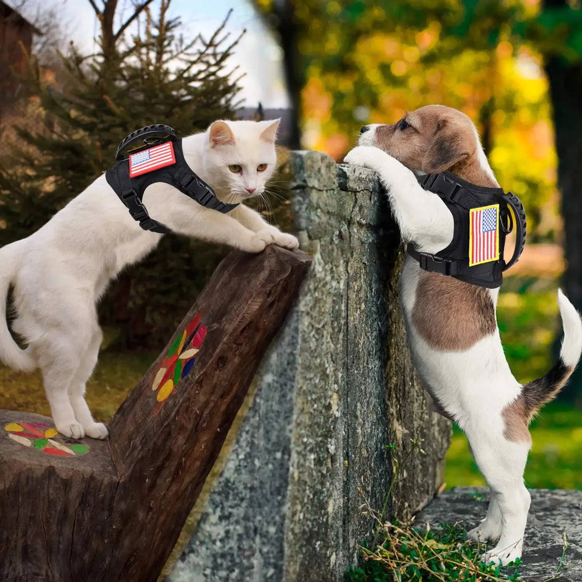 PETRAVEL Tactical Puppy Harness and Leash Set for Training Walks