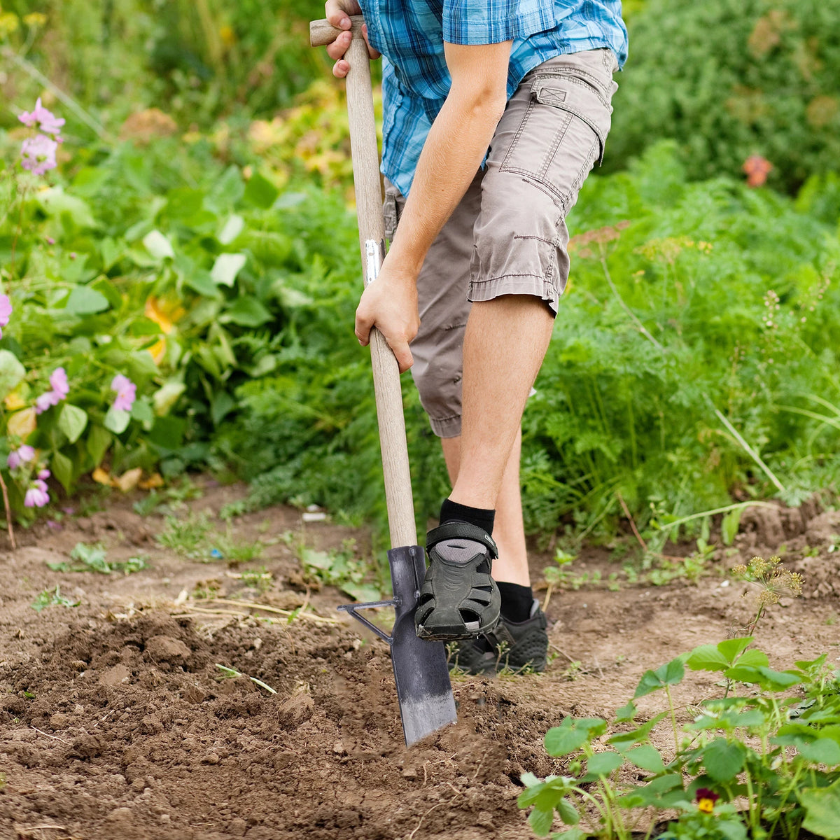 Heavy Duty Manganese Steel Garden Spade for Planting and Transplanting