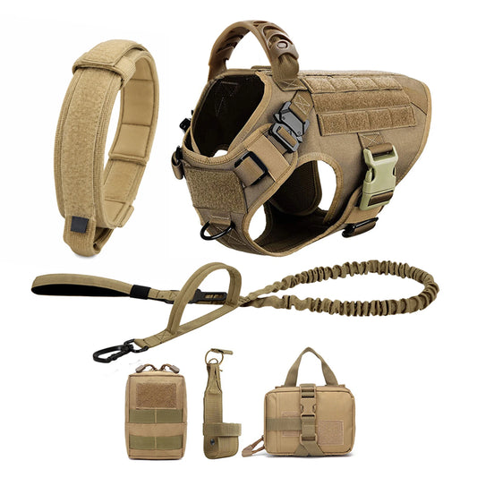 PETRAVEL Dog Harness and Leash Set for Training and Walking