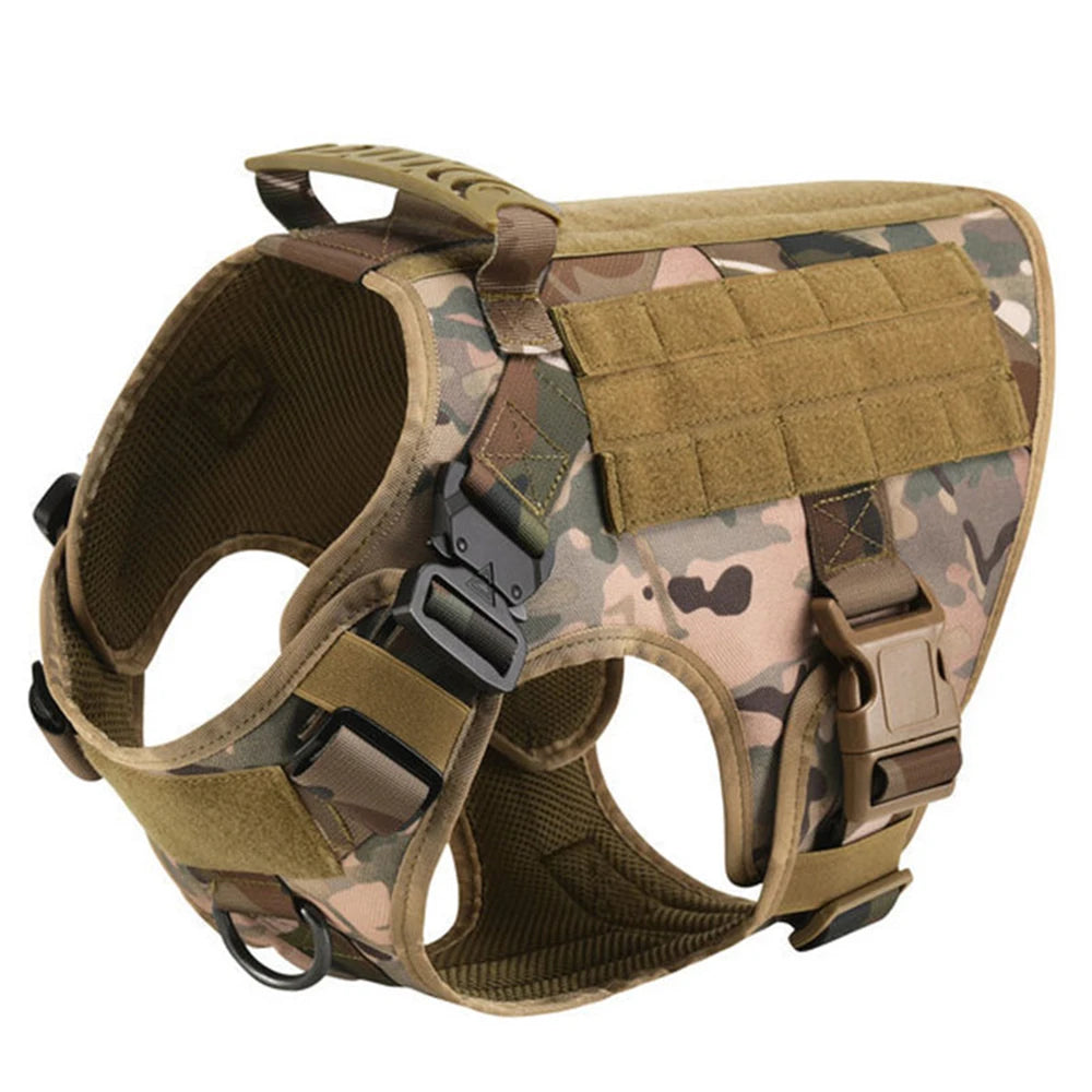 PETRAVEL Dog Harness and Leash Set for Training and Walking