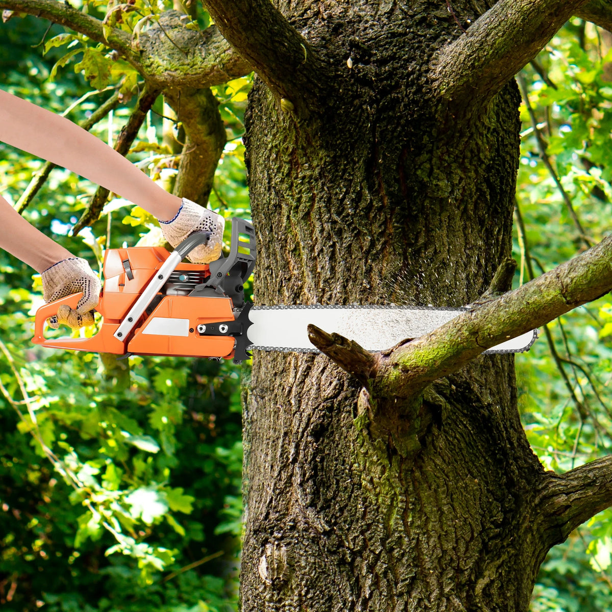 Gas Powered Two Stroke Chainsaw For Efficient Wood Cutting