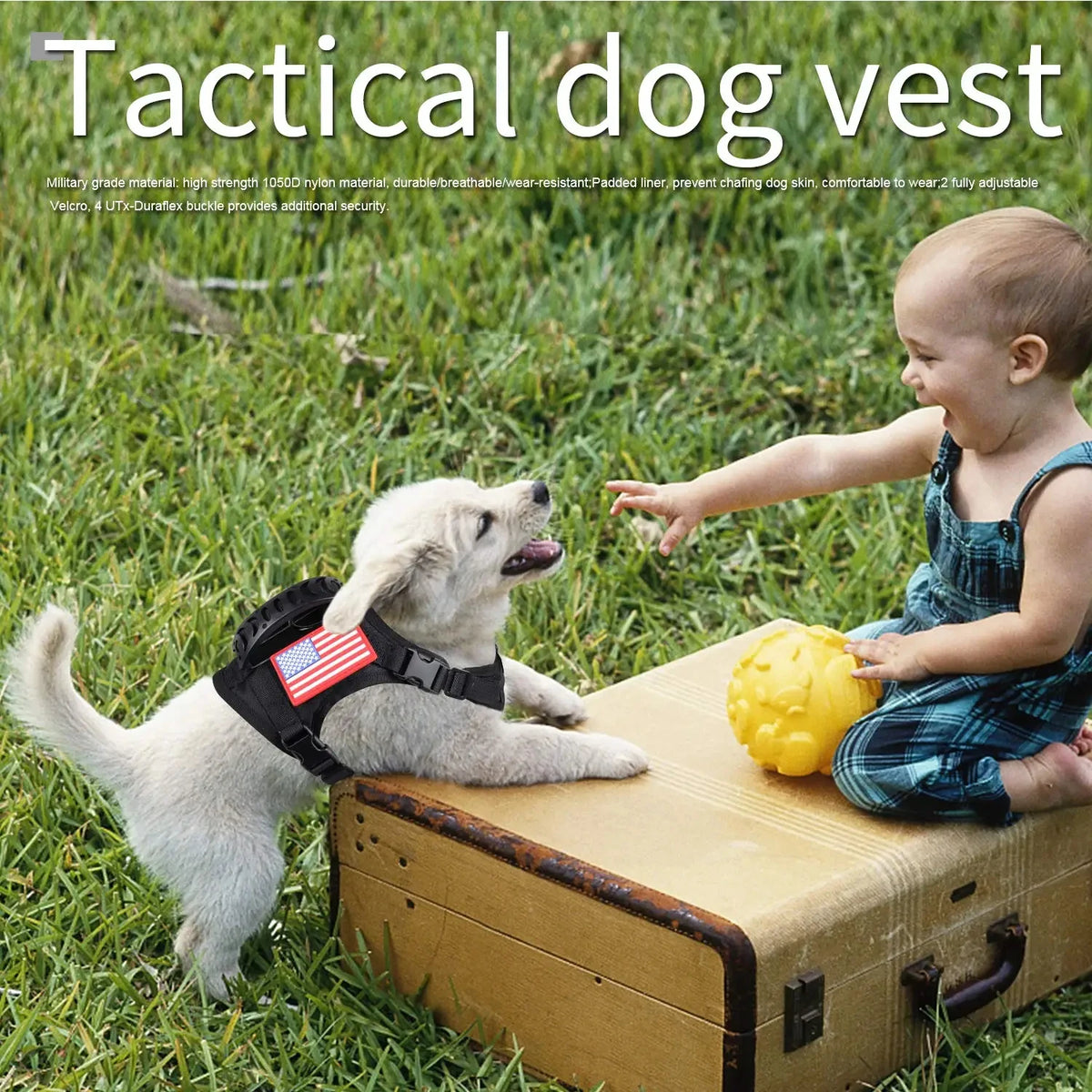 PETRAVEL Tactical Puppy Harness and Leash Set for Training Walks