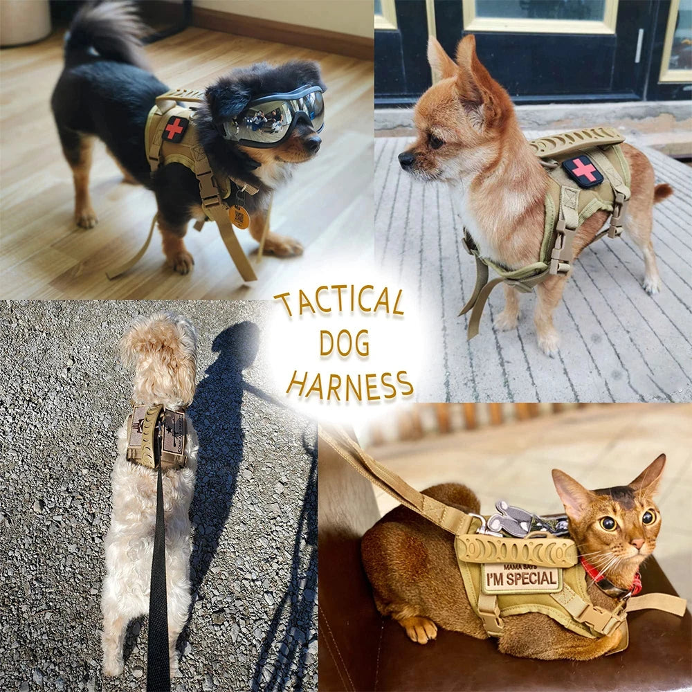 PETRAVEL Tactical Puppy Harness and Leash Set for Training Walks